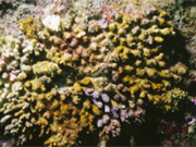 写真3